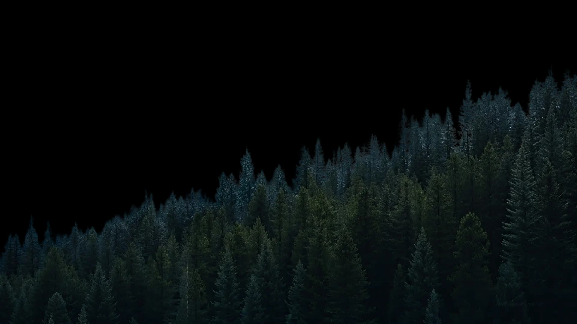 Foreground trees and foreground layer